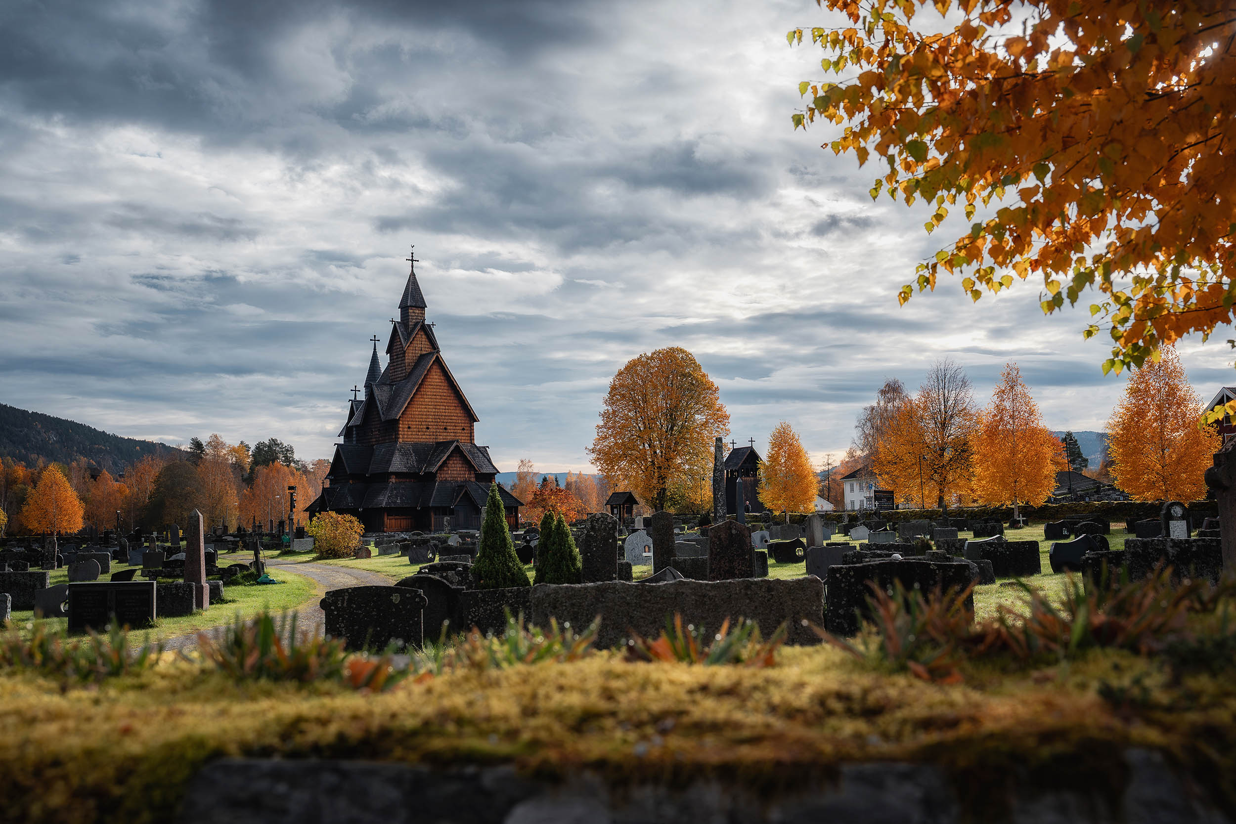 Heddal Stavkirke sett fra kirkegården, med steingjerdet og høstfarger som rammer inn motivet.